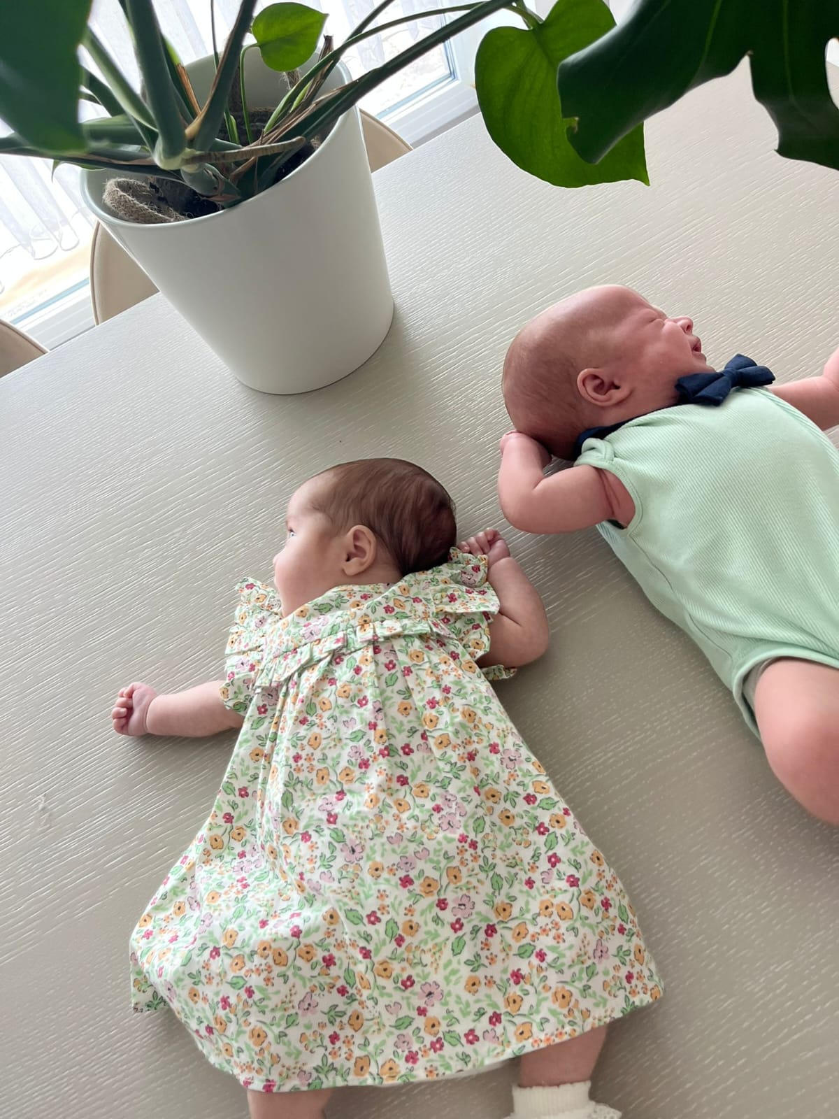 Mutlu aile portresi 1 — tüp bebek başarı hikâyesi — Kıbrıs Tüp Bebek Merkezi